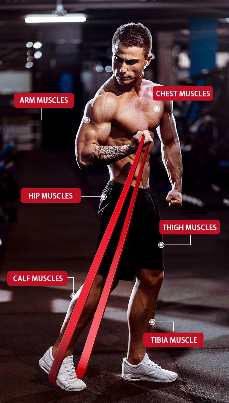 Yoga Flex Band (Multi-Level)